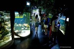 Aquarium SEA LIFE Paris Val d'Europe