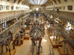 Musée National d’Histoire Naturelle | Národní přírodovědné muzeum
